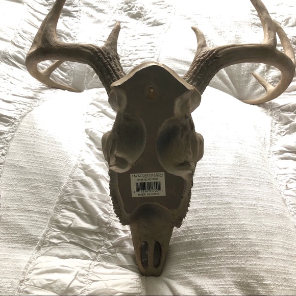 Antler Wall Decor - Picture 6 of 6